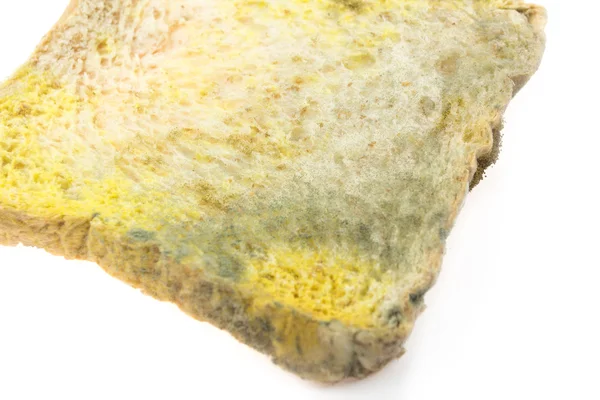 Moldy bread on white background — Stock Photo, Image