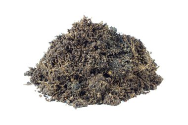 yığın yığın toprak humus