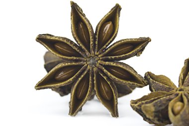 yıldız anason, badiane baharat olarak izole beyaz arka plan 