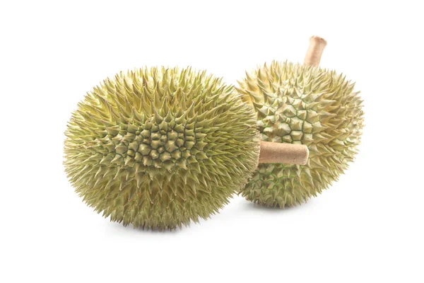 Durian isolerad på vit bakgrund — Stockfoto