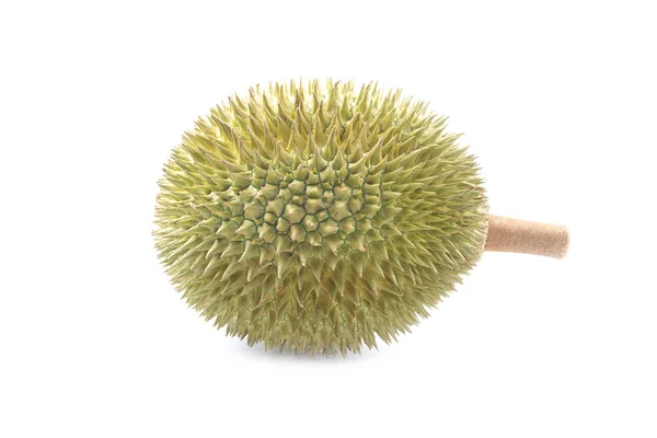 Durian isolerad på vit bakgrund — Stockfoto