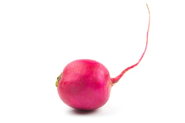 Small garden radish isolated on white background — Stock Photo, Image