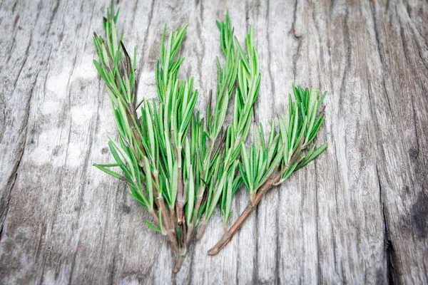 Rosemary encadernado em uma placa de madeira — Fotografia de Stock