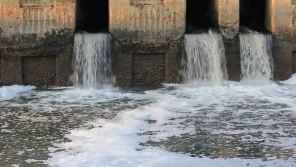 Waste water to small canal — Stock Video