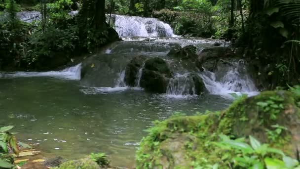 HD, нахилений старий дерев'яний міст у лісі — стокове відео