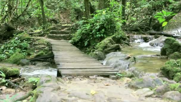 Alte Holzbrücke im Wald umkippen