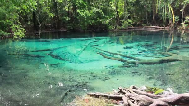 Μπλε λίμνη, πισίνα άνοιξη είναι η προέλευση του σμαραγδένια πισίνα. σε kabri, Νότια Ταϊλάνδη — Αρχείο Βίντεο