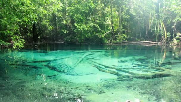 Blue lake, Spring Pool es el origen de la piscina esmeralda. En Kabri Sur de Tailandia — Vídeo de stock