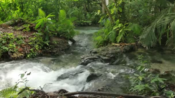 Cachoeira tropical em floresta profunda — Vídeo de Stock