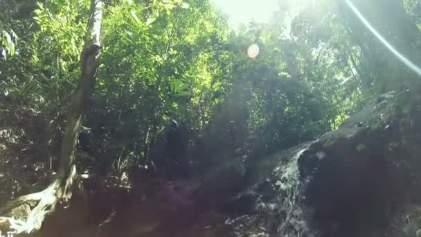 Umkippen, Wasserfall im Wald — Stockvideo