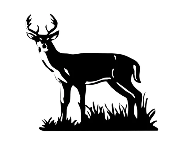 Realistic deer vector — Stock Vector