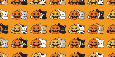 kedi desensiz balkabağı Cadılar Bayramı balkabağı yavru kedi yavrusu neko cins karakter evcil hayvan Duvar kağıdı döşeme arka plan hayvan karalama eşarp izole tasarım sanatı