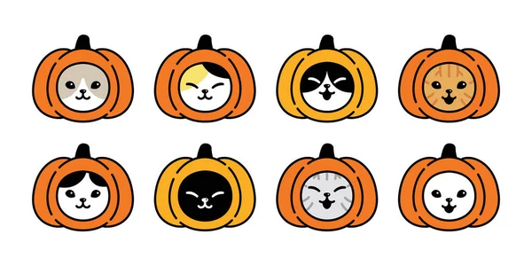 Katt Vektor Kattunge Ikon Pumpa Halloween Kalico Logotyp Husdjur Huvud — Stock vektor