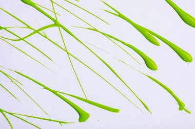 Thin green lines and splashes drawn on white background. Abstract art backdrop with brush decorative stroke. Acrylic olive painting with graphic stripe.