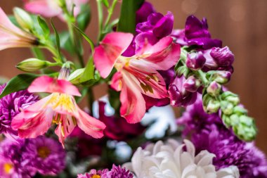 Narin çiçek açan pembe çiçekler, çiçek açan arka plan, çiçek desenli pastel resim, yumuşak taç yaprağı. Magenta Peru zambağı..