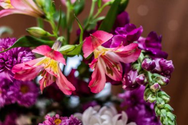 Narin çiçek açan pembe çiçekler, çiçek açan arka plan, çiçek desenli pastel resim, yumuşak taç yaprağı. Magenta Peru zambağı..