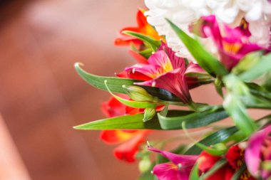 Narin çiçek açan pembe çiçekler, çiçek açan arka plan, çiçek desenli pastel resim, yumuşak taç yaprağı. Magenta Peru zambağı..