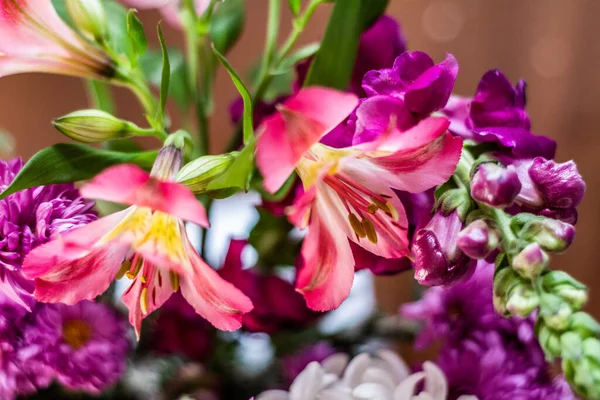 Narin çiçek açan pembe çiçekler, çiçek açan arka plan, çiçek desenli pastel resim, yumuşak taç yaprağı. Magenta Peru zambağı..