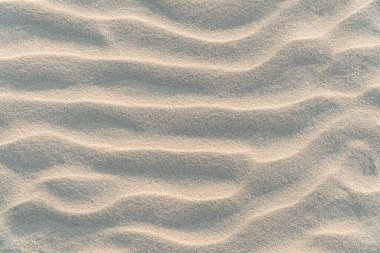 Dalgalı doğa ve arka plan. Sarı çöl kum dokusu. Doğa bej kumul arka planı. Dokuları üst üste koy. Grunge 'un geçmişi. Yüksek çözünürlüklü. Tasarım ve metin için alanı kopyala.