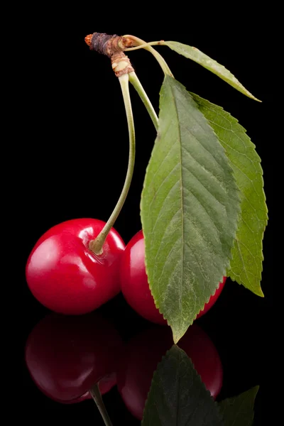 Cherry — Stock Photo, Image