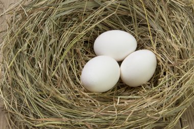 Paskalya yumurtaları