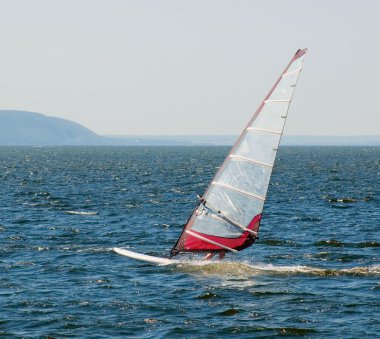 regatta katılan yat
