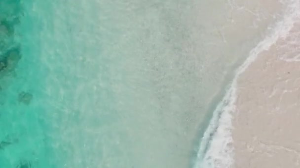 Top view of beach in Maldives islands, clear waters of ocean and coastline — Stock Video