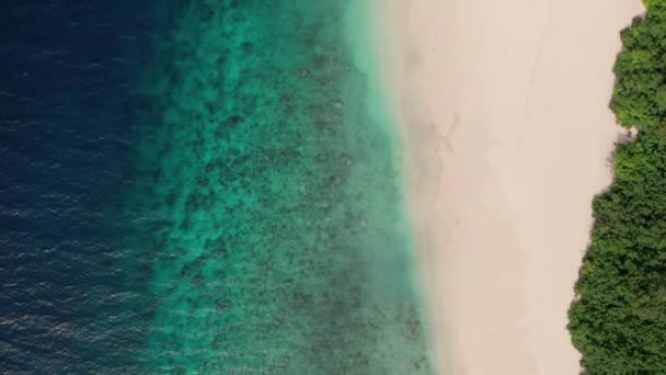 Letecký pohled na pláž na Maledivách s lesem, čistou vodou a pobřežím — Stock video