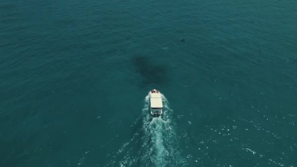 Drone shot van witte boot drijven in de Indische Oceaan in de Malediven, golven met schuim — Stockvideo