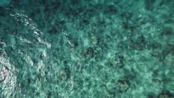 Tiro aéreo de águas límpidas com recifes de coral, Oceano Índico em Maldivas — Vídeo de Stock