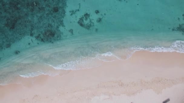 Atas tampilan perbesaran air dari Maladewa air jernih dan garis pantai — Stok Video