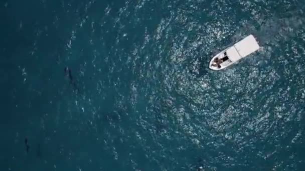 Vista superior do barco branco flutuar no Oceano Índico em Maldivas, ondas com espuma — Vídeo de Stock