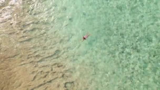 Top uitzicht van de vrouw zwemmen in transparante oceaan water — Stockvideo