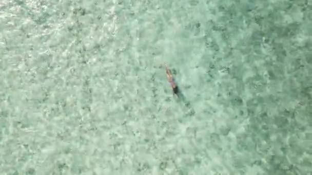 水中で泳いでいる女性の空中ビュー、透明海の水 — ストック動画