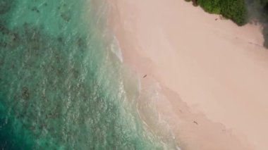 Maldivler 'deki kumlu sahil manzarası, temiz su ve kıyı şeridi insansız hava aracı.