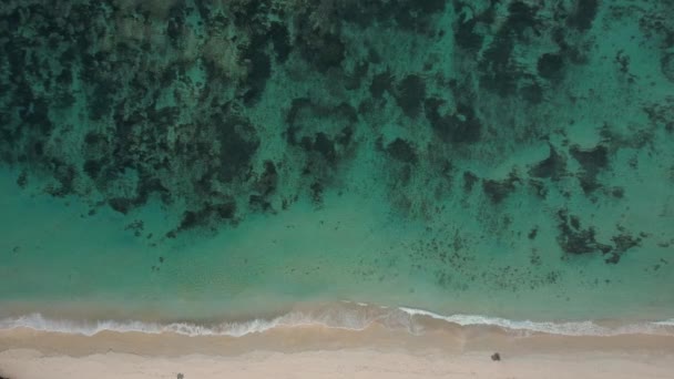 Klidný letecký pohled na tropickou pláž na Bali. Oceánské vlny na břehu — Stock video