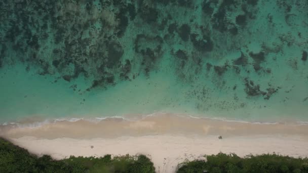 バリ島での熱帯のビーチの穏やかな空中ビュー。海岸の海の波 — ストック動画