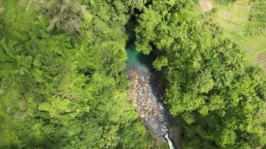 Küçük şelaleli bir nehir. Hava görüntüsü ormanı yakınlaştırıyor. Bali, Endonezya. Seyahat konsepti. İnsansız hava aracı görüntüleri.
