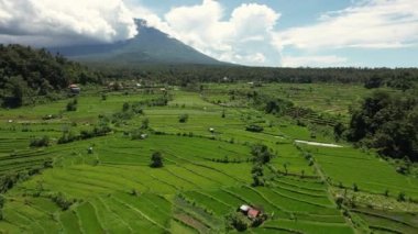 Bali Volkanı 'nın, İHA' nın, pirinç tarlalarının ve terasların üzerinden ileriye doğru uçan görüntüsü. Bulutlu gökyüzü.