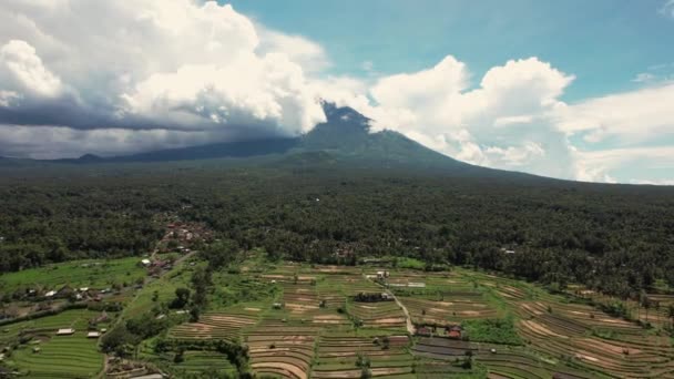 バリ島火山、ドローンショットの空中ショットは、田んぼやテラスの上を後方に飛んでいます。曇った空. — ストック動画