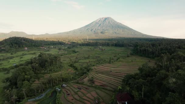 Bali Volkanı 'nın, İHA' nın, pirinç tarlalarının ve terasların üzerinden ileriye doğru uçan görüntüsü. Bulutlu gökyüzü. — Stok video