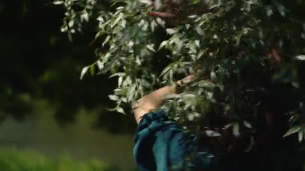 Kobieta Tańczy Dotyka Liśćmi Drzew Parku Miejskim Prawdziwy Strzał Relaks — Wideo stockowe