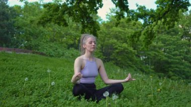 Genç ve formda bir kadın sabah vakti parkta yoga yapıyor. Güzel kız dışarıda yoga egzersizi yapıyor. Gerçek zamanlı.