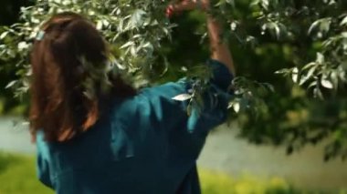 Kadın şehir parkında ağaçların yapraklarıyla dans ediyor ve elleriyle dokunuyor. Gerçek zamanlı çekim. Rahatla ve aromaterapi.