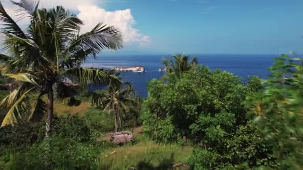 空中俯瞰 无人驾驶飞机在岛上飞向海洋 棕榈树和村庄的土地 暑假的概念 — 图库视频影像