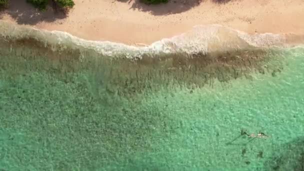 Strzał Powietrza Fal Rozpryskujących Się Tropikalnej Wyspie Przezroczysta Woda Oceanu — Wideo stockowe