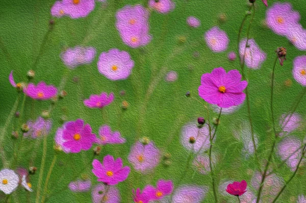 Kosmos Blumen am Morgen, digitale Ölmalerei. — Stockfoto