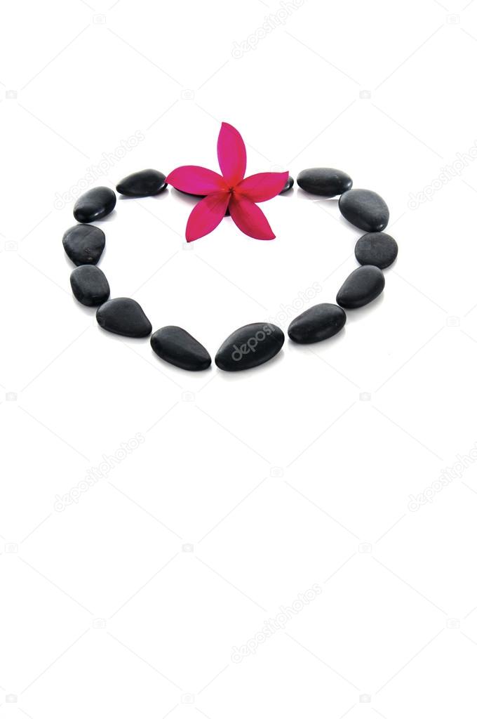 Zen stones with frangipani flower