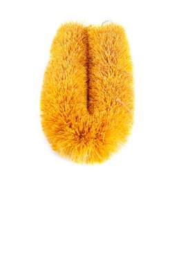 Temizleme fırçası Hindistan cevizi kabuğu beyaz zemin üzerine yapılan biyolojik