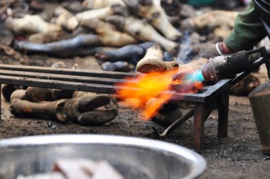 inek ayağı köknar kabuk soyma işlemi
